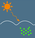 What Causes Oxygen to be Used Up In Deep Waters?